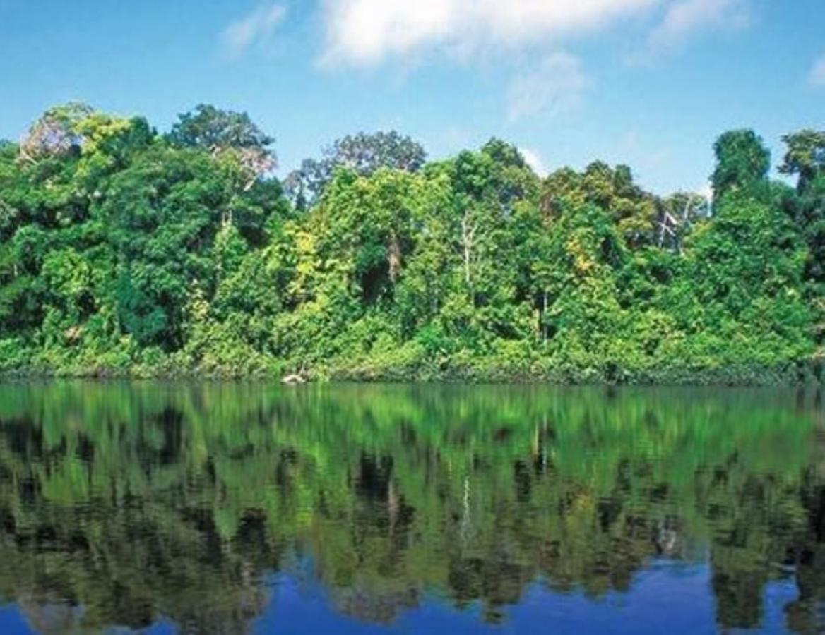 Hotel Vista Al Tortuguero Cariari  ภายนอก รูปภาพ